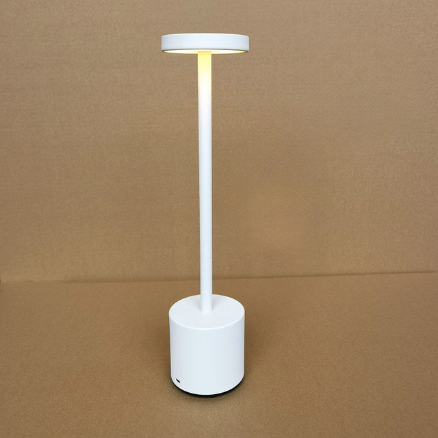 Luna™ | Stylish Iron Floor Lamp for Indoor and Outdoor Use